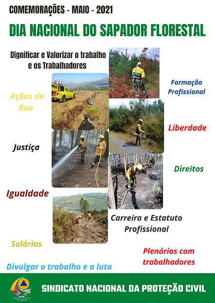 Sapadores f3