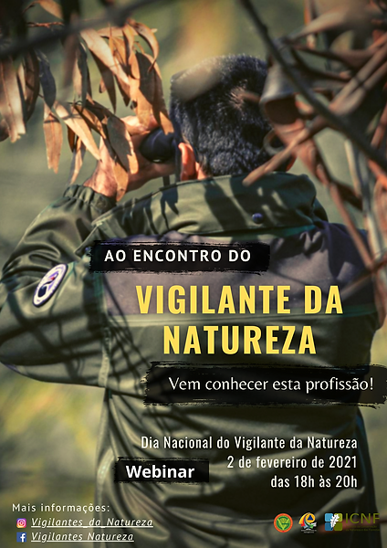 Vigilantes 2