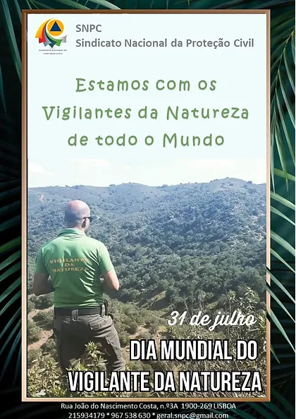 Vigilantes 3